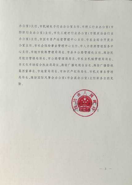 沙滩村委会人事任命揭晓，村级治理迎来新篇章