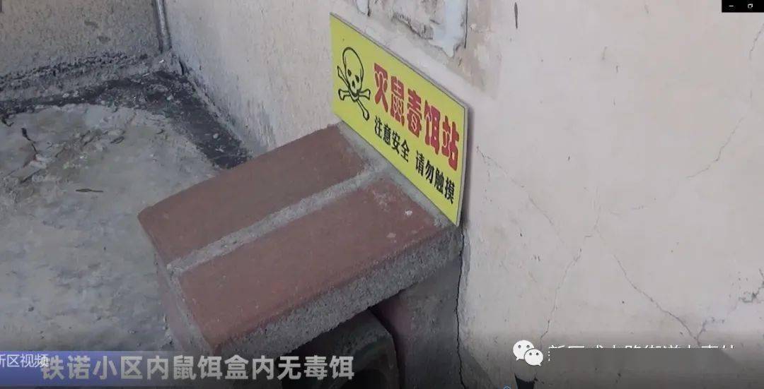 新泰市公路运输管理事业单位招聘启事概览