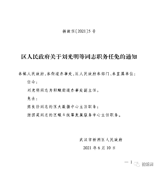 桂西路社区人事任命动态，新领导层的崛起及其影响