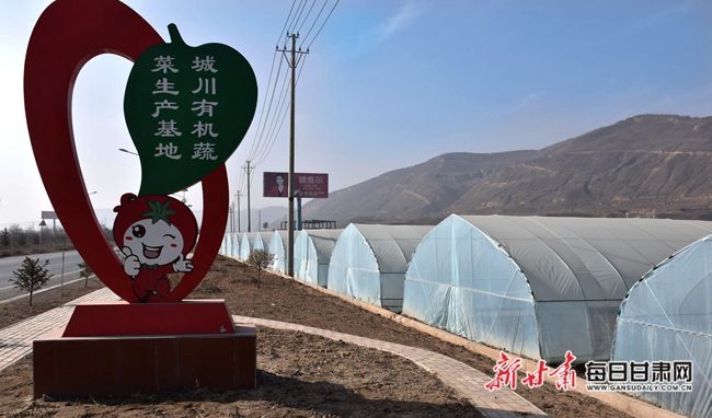 城川镇新项目，地区发展的强大引擎引领未来