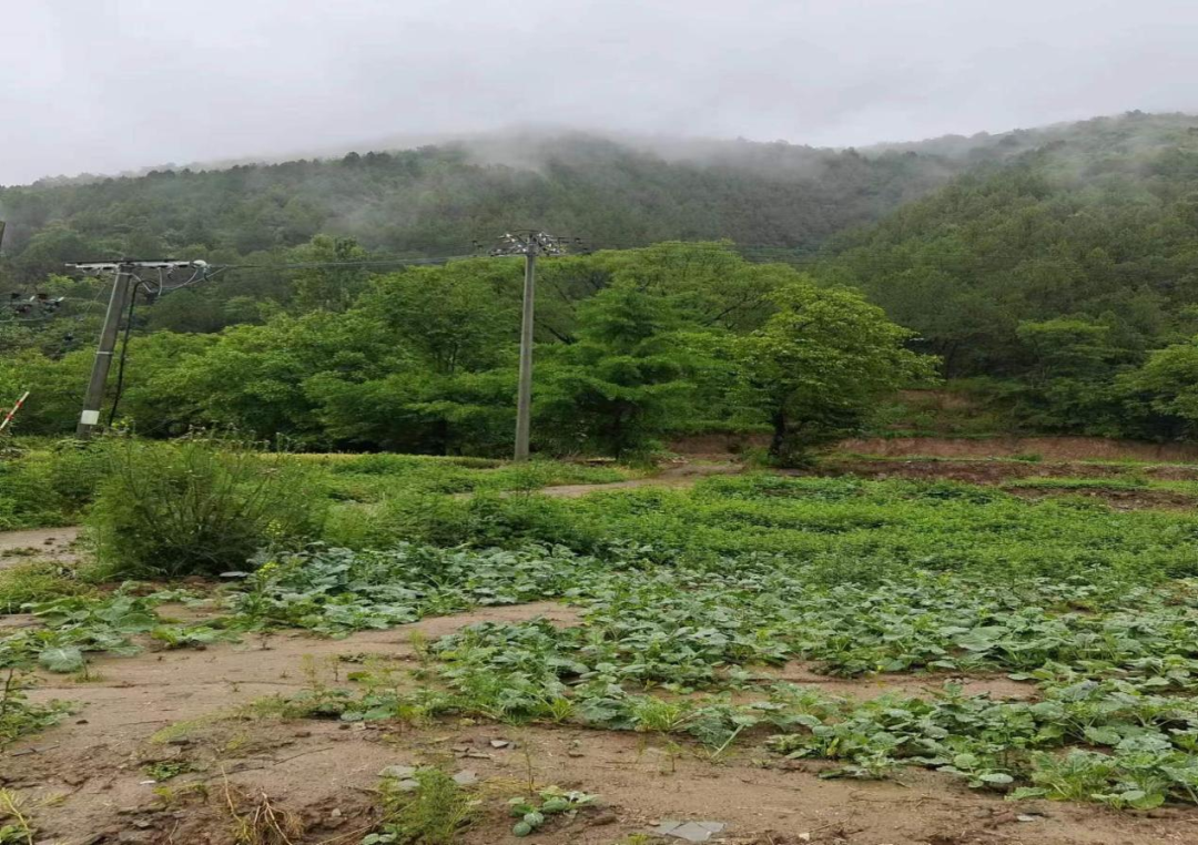 酸茨村民委员会天气预报更新通知