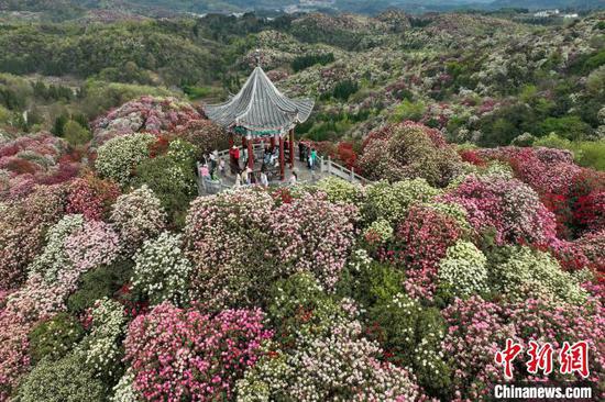 毕节市百里杜鹃景区游玩攻略大全