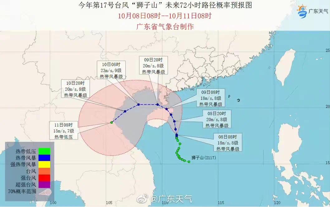 狮子山区应急管理局未来发展规划概览