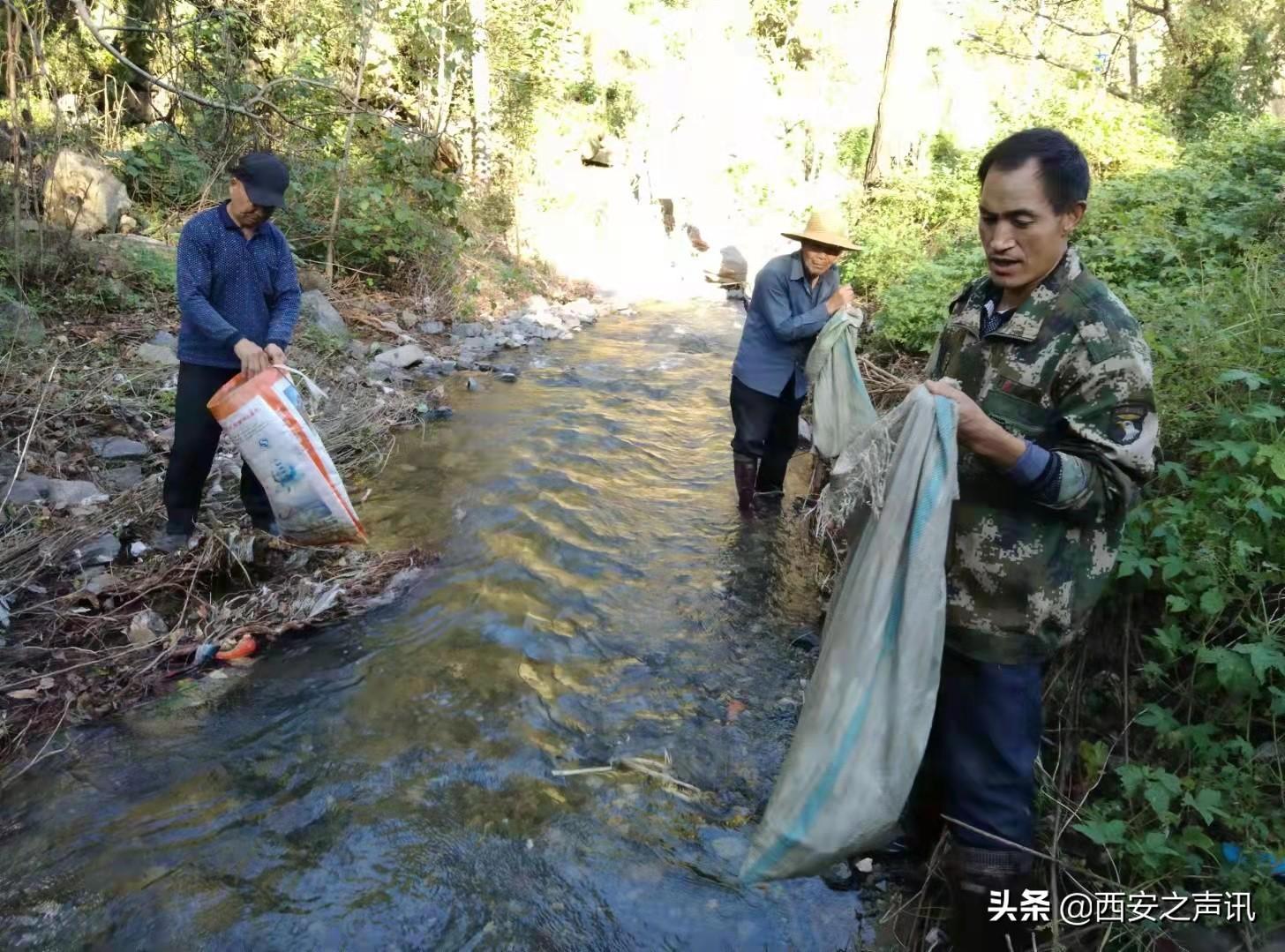 丹凤县文化广电体育和旅游局领导团队概览