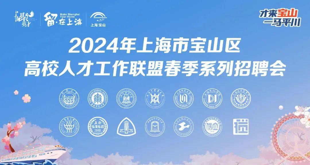 宝山区发展和改革局最新招聘详情解析