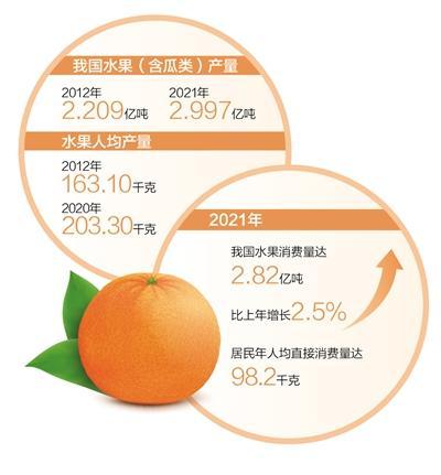 朝阳市统计局最新项目概览报告发布