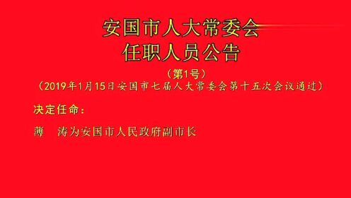 西市区发展和改革局人事任命，注入新动力，推动区域发展新篇章