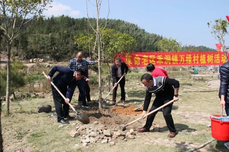 禾洞镇新领导团队引领未来，共筑美好新篇章