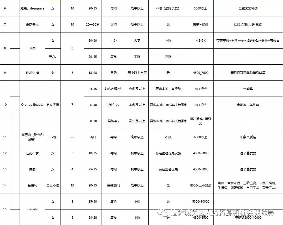 拉萨市科学技术局最新招聘信息概览