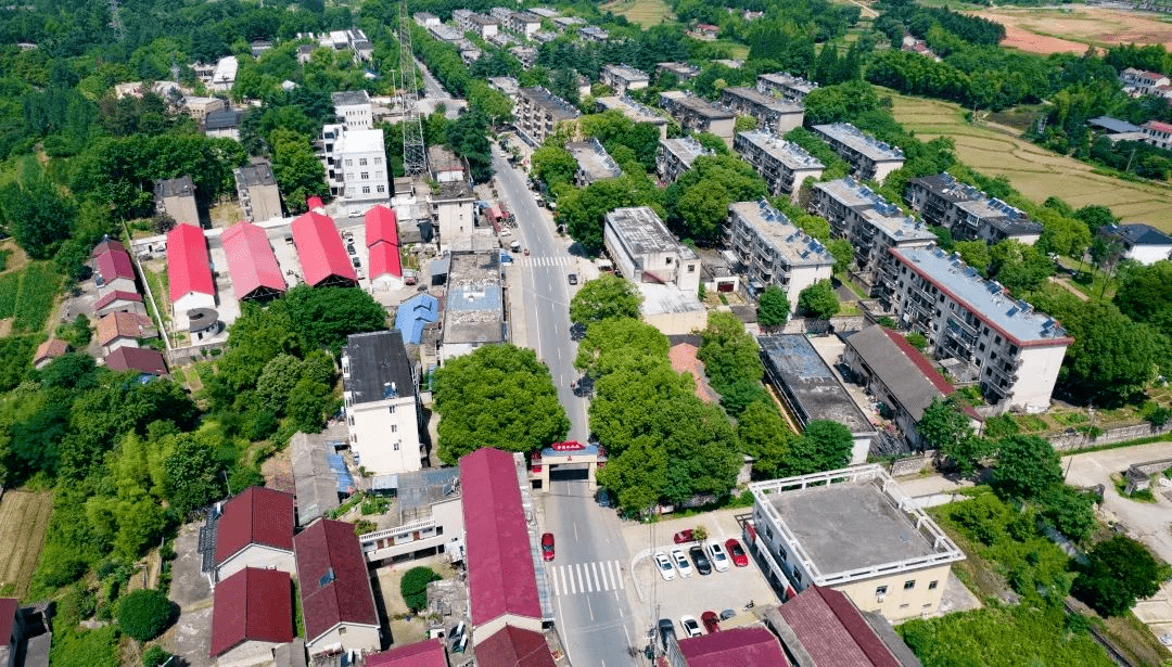 蒋口乡新发展规划，塑造乡村新貌，推动可持续发展