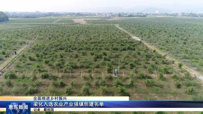 梁化镇最新项目——地区发展的强大引擎驱动力