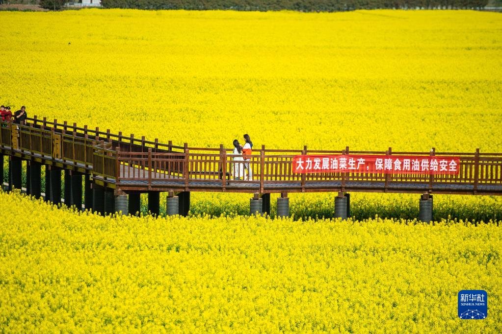 十美堂镇最新项目，地区发展的先锋力量典范