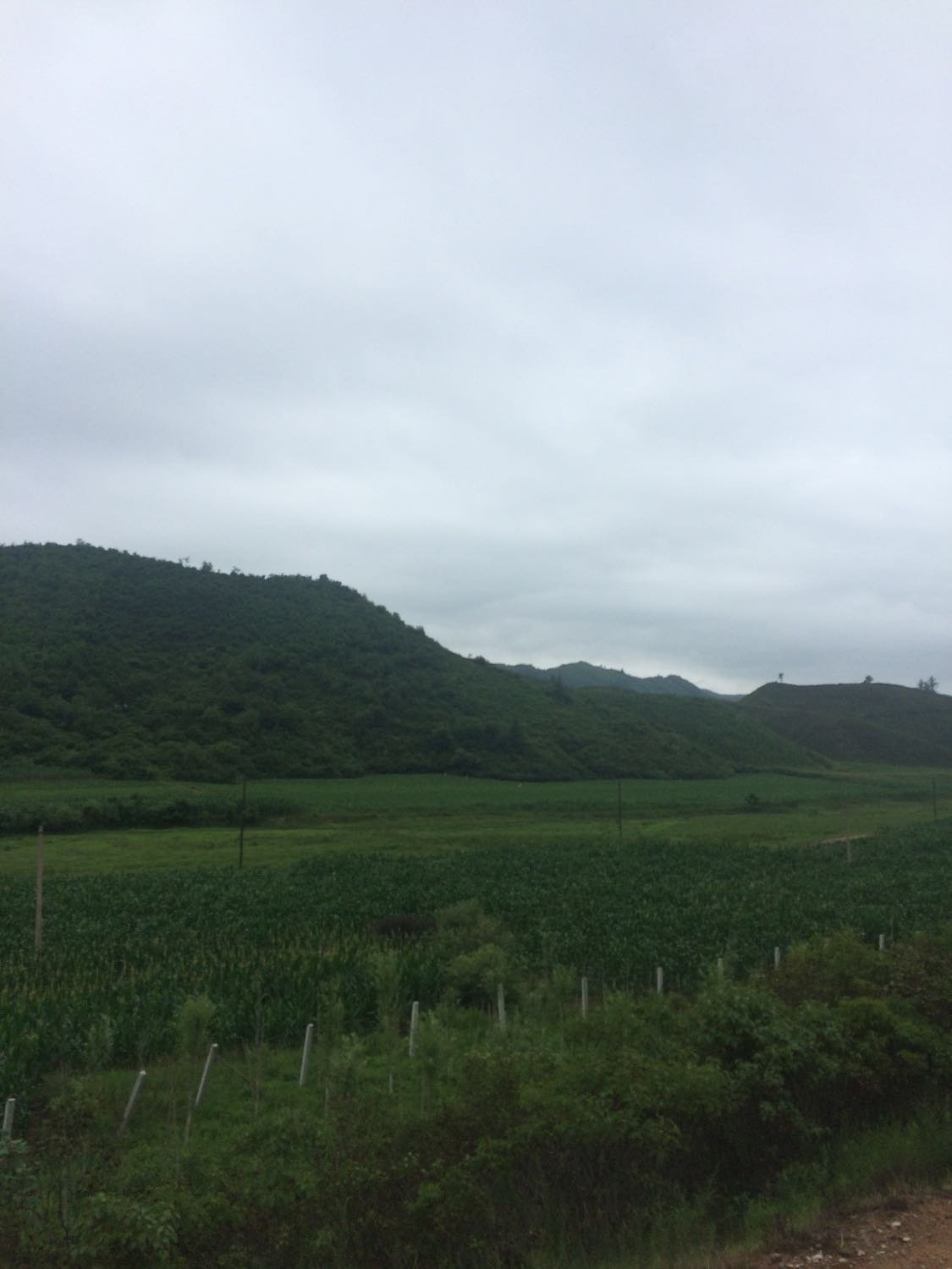 药王满族乡未来一周天气预报与生活建议