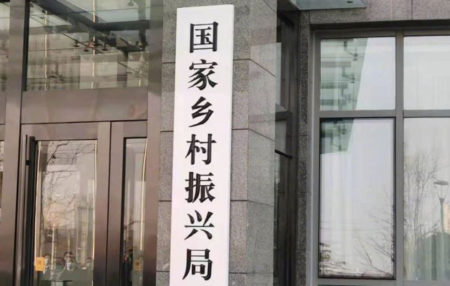 金家营村委会现代化交通新篇章开启，最新交通新闻概览