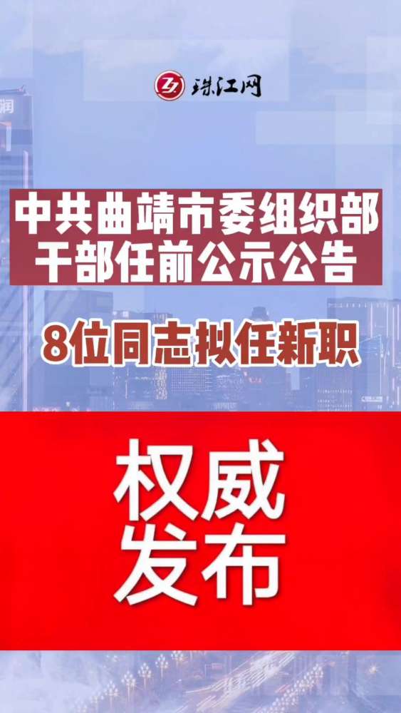 清新县审计局最新招聘公告概览