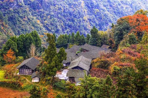 黔江区住建局新项目推动城市更新，塑造美好未来居住环境