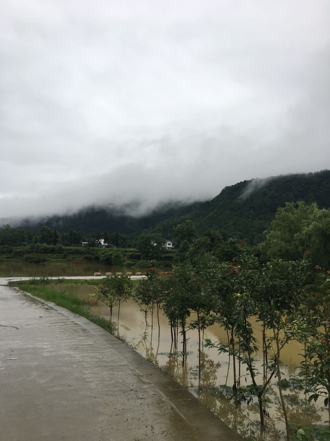 县溪镇天气预报更新通知