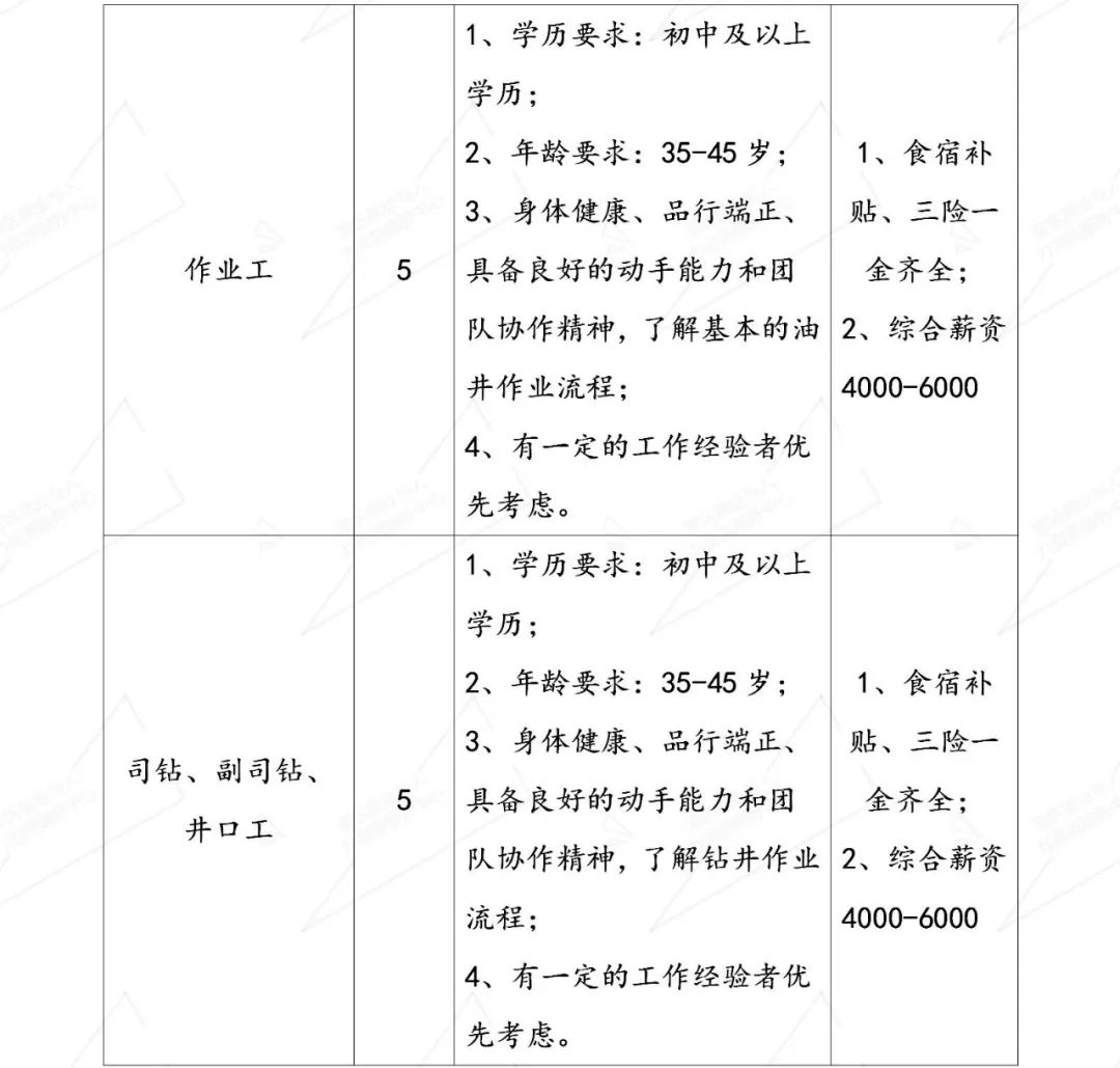 新城区司法局最新招聘信息及其相关内容解析