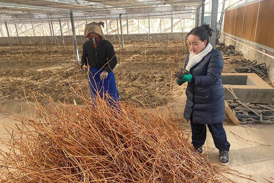 拉姆杰村的新领导，引领村庄繁荣与进步的先锋力量